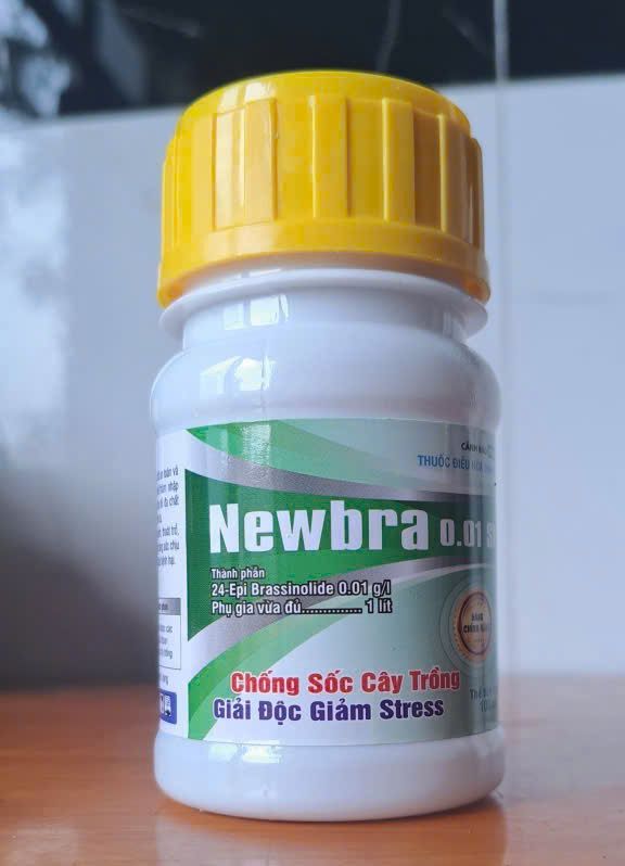 (Thuốc điều hòa sinh trưởng) Newbra 0.01 SL, 24 Epi Brassinolide 0.01 g/l: chống sốc cây trồng, giải độc giảm stress :giúp cây ra rễ, đẻ nhánh, thoát trổ đồng loạt và vô gạo tối đa