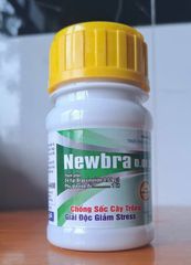 (Thuốc điều hòa sinh trưởng) Newbra 0.01 SL, 24 Epi Brassinolide 0.01 g/l: chống sốc cây trồng, giải độc giảm stress :giúp cây ra rễ, đẻ nhánh, thoát trổ đồng loạt và vô gạo tối đa