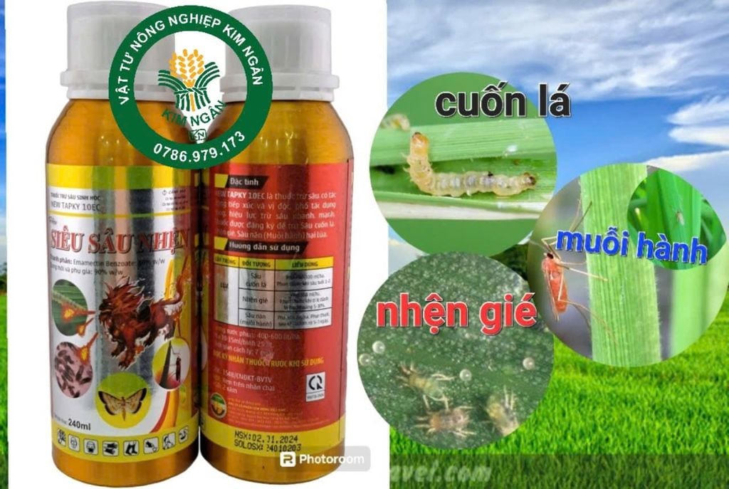 (Chuyên LÚA) Trừ sâu cuốn lá lúa, sâu đục thân, muỗi hành (sâu năn), nhện gié gây hại ruộng lúa