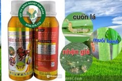 (Chuyên LÚA) Trừ sâu cuốn lá lúa, sâu đục thân, muỗi hành (sâu năn), nhện gié gây hại ruộng lúa