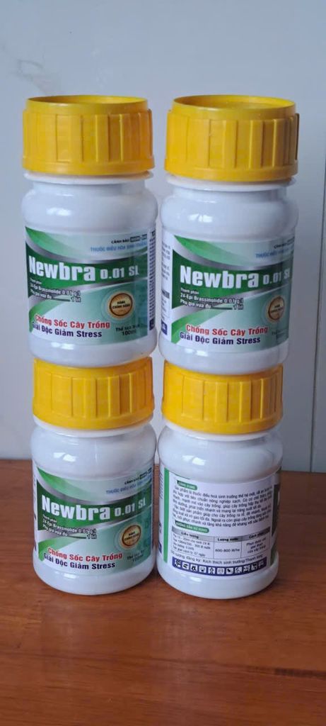 (Thuốc điều hòa sinh trưởng) Newbra 0.01 SL, 24 Epi Brassinolide 0.01 g/l: chống sốc cây trồng, giải độc giảm stress :giúp cây ra rễ, đẻ nhánh, thoát trổ đồng loạt và vô gạo tối đa