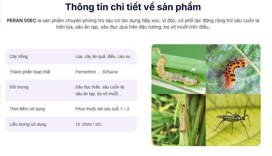 Thuốc trừ sâu Peran 50EC 100ml: trừ sâu cuốn lá hại lúa,sâu ăn tạp,sâu đục quả hại đậu tương,bọ xít muỗi hại điều.