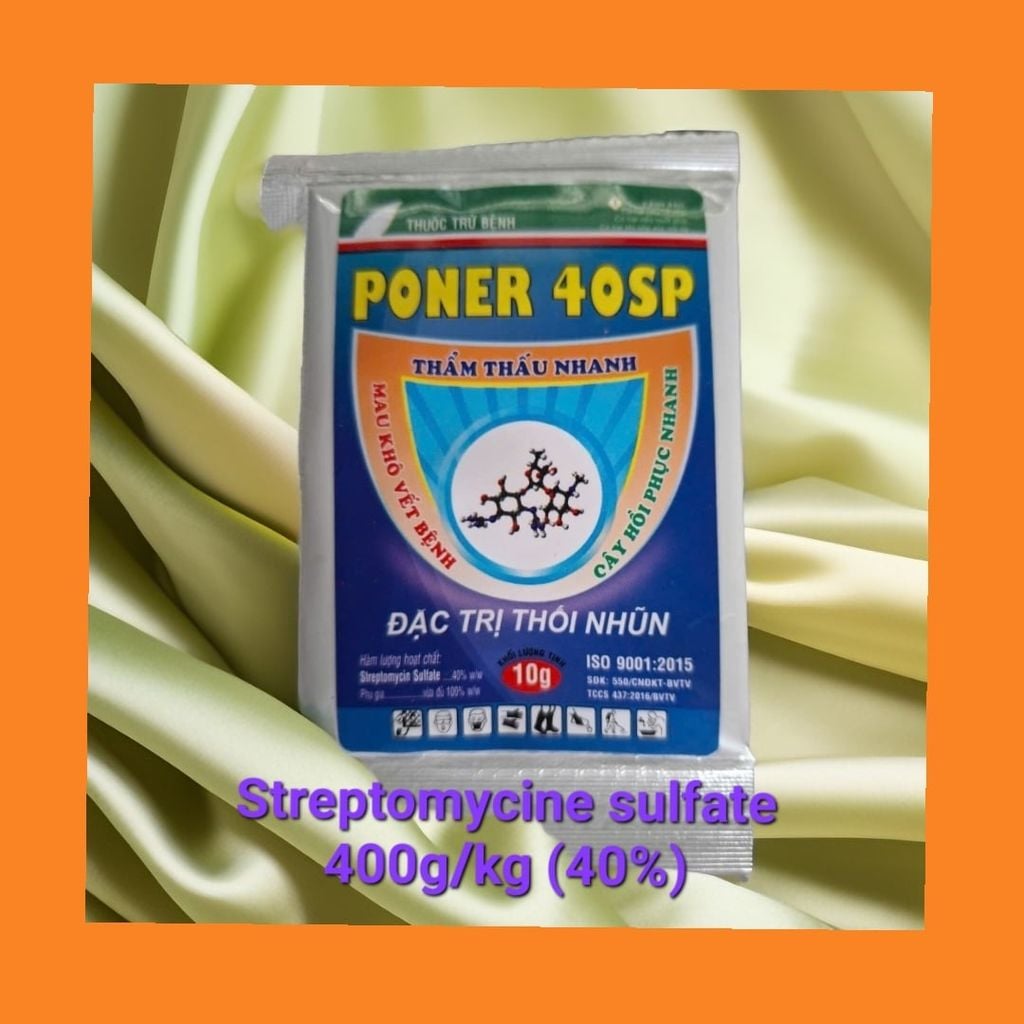 Jolle 1sl 100ml - Đặc trị bệnh vi khuẩn sọc lá và cháy lá, bệnh khô đầu lá hành