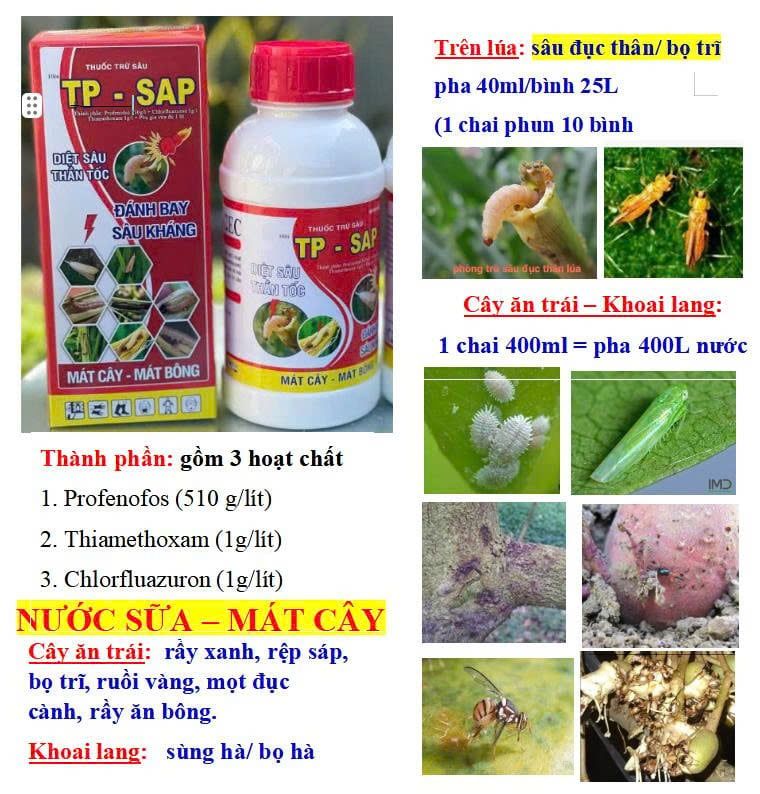 Thuốc đặc trị rệp sáp mít