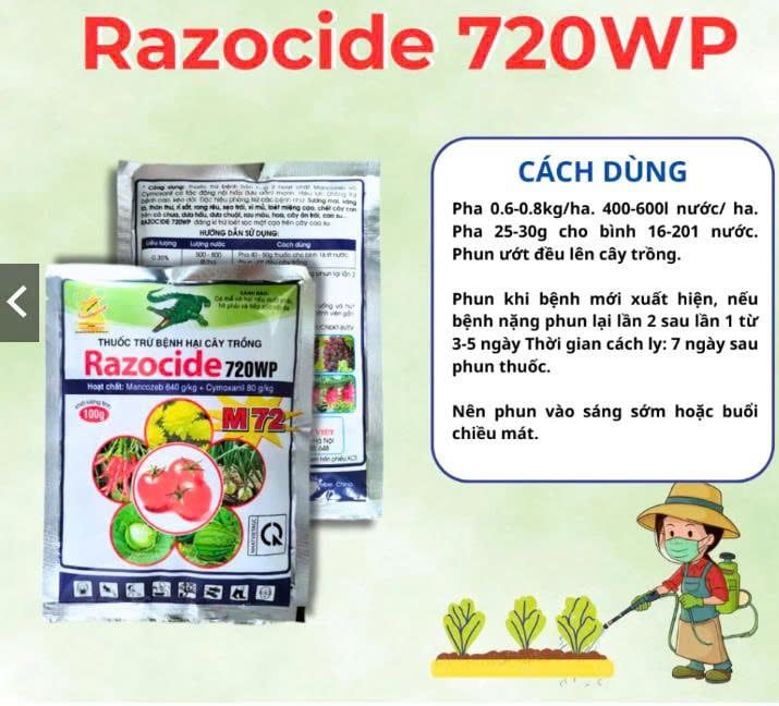 Thuốc trừ bệnh Razocide 720WP Sương mai, vàng lá, thán thư, rỉ sắt, rong rêu, sẹo trái, xì mủ - 100g