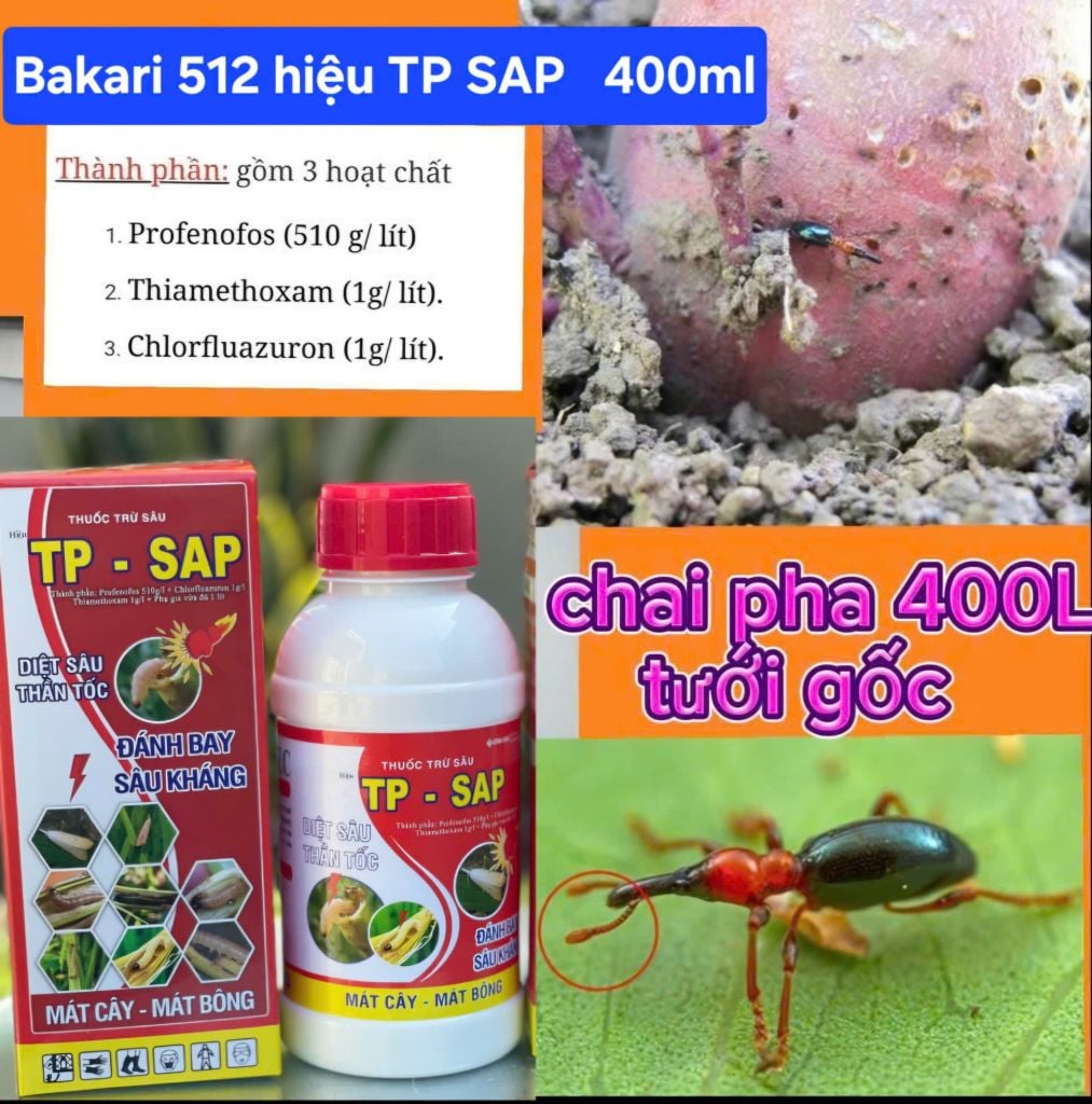 Thuốc Tưới Gốc, Rải Gốc Phòng Trị Sùng Hà, bọ Hà Trên Khoai Lang
