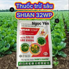 Trừ sâu sinh học SHIAN 32WP (25g) an toàn, hiệu quả, chứa Bt Bacillus Thuringiensis diệt các loại sâu ăn lá, sâu đục trái, sâu đục thân