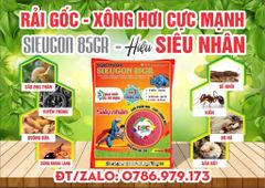 Thuốc Tưới Gốc, Rải Gốc Phòng Trị Sùng Hà, bọ Hà Trên Khoai Lang
