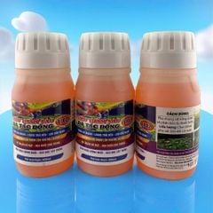 Thuốc phòng trừ bệnh thối trái sầu riêng, không nóng trái, thuốc không bám trái