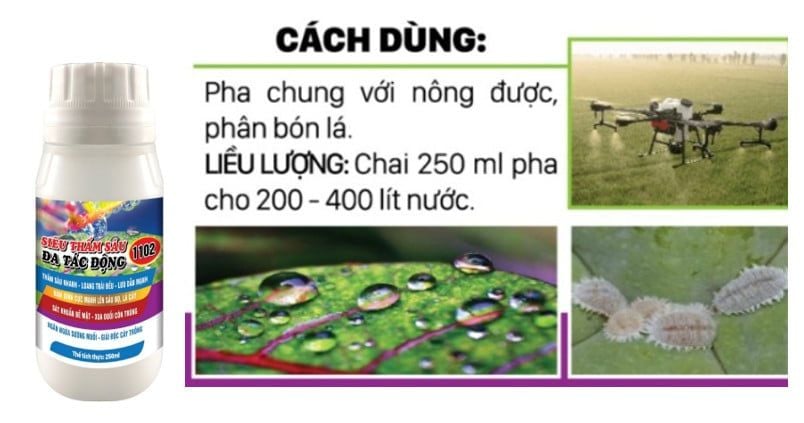 Thuốc phòng trừ rệp sáp hiệu quả và an toàn trên đu đủ - AT ARMY 50SP trừ rệp sáp, rầy mềm, bọ trĩ gây hại đu đủ, không nóng, phun được cả cây con