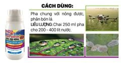 Thuốc phòng trừ rệp sáp hiệu quả và an toàn trên đu đủ - AT ARMY 50SP trừ rệp sáp, rầy mềm, bọ trĩ gây hại đu đủ, không nóng, phun được cả cây con