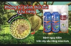 Thuốc trừ bệnh thối trái sầu riêng, không nóng trái, thuốc không bám trái