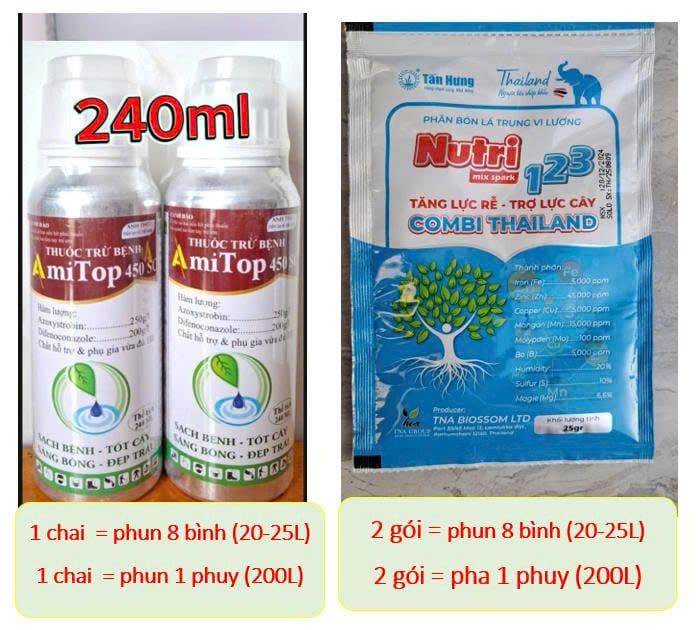 Thuốc trừ bệnh đốm lá, sương mai, thán thư, thối trái trên Vải - Chai Amitop 450SC (nhập khẩu Ấn độ) trừ bệnh nhưng không nóng cây
