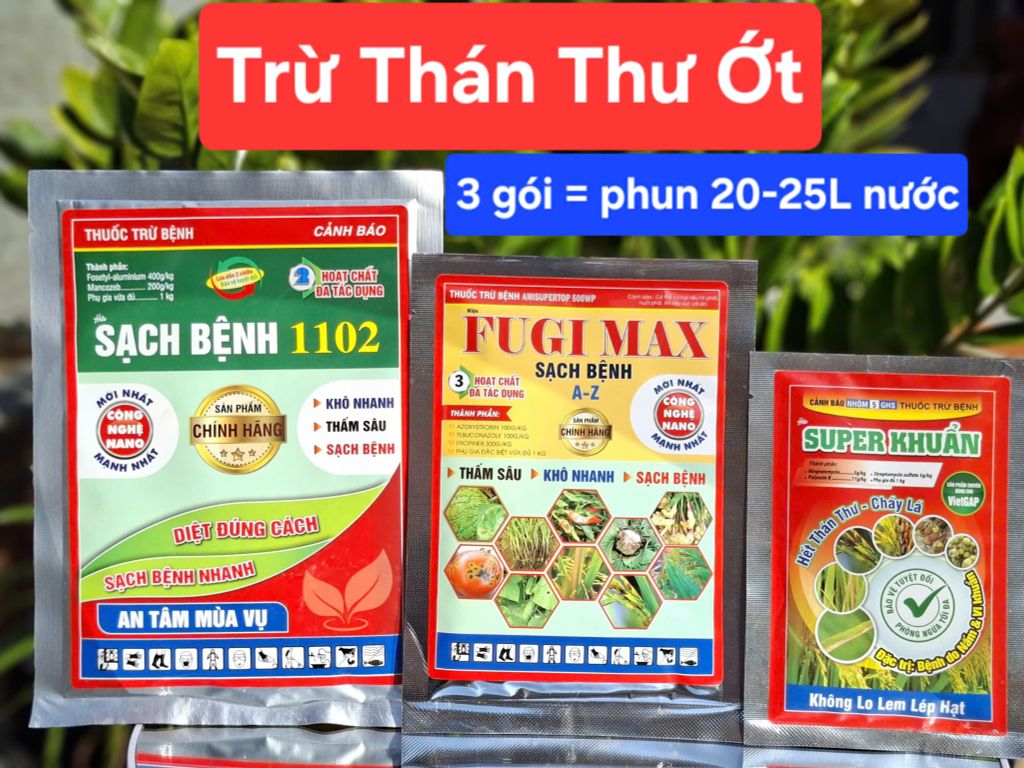 Thuốc trừ bệnh thán thư ớt, thối úng trái ớt, thán thư bông, thối úng bông ớt