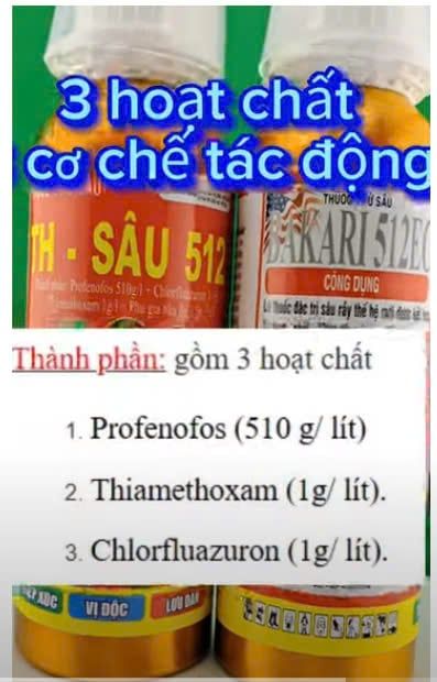 TH SÂu 512 (400ml) Phòng trừ, diệt sâu đục thân lúa, bọ trĩ, bọ xít hôi/ bọ hút chích bông lúa, rầy phấn trắng, muỗi hành hại lúa