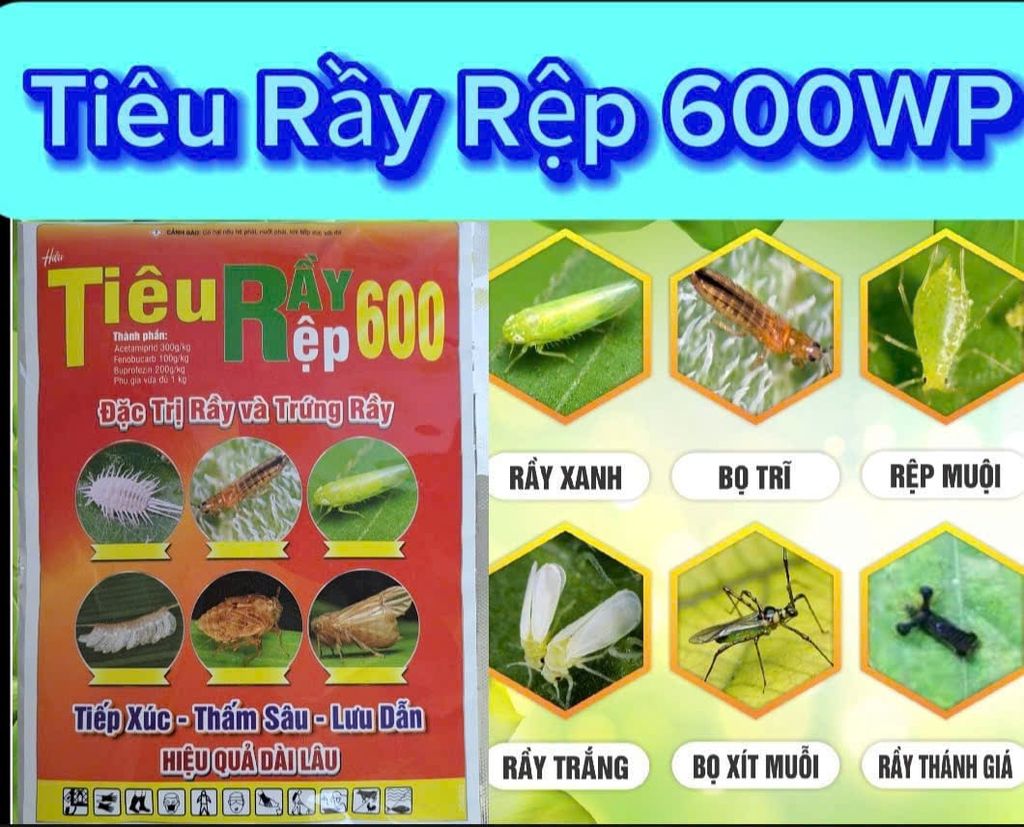 Tiêu rầy rệp 25gam và 80gam, Chavez 600wp: trừ Rầy xanh, rầy nhảy, rầy phấn, rầy nâu, Rệp sáp, bọ trĩ, Bọ Xít - Diệt Trứng Và Côn Trùng Chích Hút