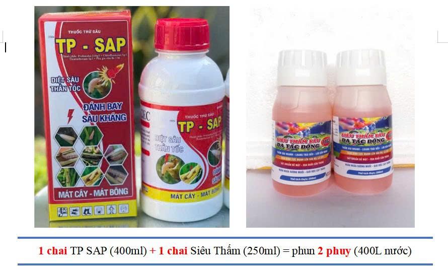 Thuốc đặc trị rệp sáp mít
