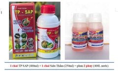 Thuốc đặc trị rệp sáp mít