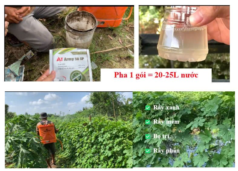 (Giá sỉ 100 chai) Thuốc đặc trị BỌ TRĨ, Megami 178: nhập khẩu Ấn ĐỘ- đặc trị bọ trĩ hiệu quả không nóng cây trồng, sử dụng được trên cây ăn trái và rau màu-20ml