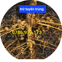 (450ml) Thuốc trừ bệnh KAIDO 50SL, sạch tuyến trùng rễ,  trừ tuyến trùng gây bướu rễ, quản lý bệnh thối trái - thối quả