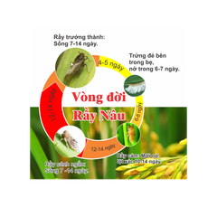 (Chai 450ml) Thuốc trừ sâu Excel BASA 50EC: nước trong, ít hôi, phun rầy chết nhanh. Thuốc tiếp xúc xông hơi cực mạnh, đặc trị rầy nâu hại lúa