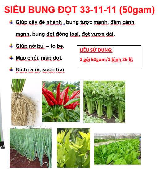 Bộ đôi kích lớn trái, không làm suy cây, giúp to trái dưa leo, to trái dưa hấu, giúp ớt nặng ký và giúp chống nghẽn đầu lân trên rau màu