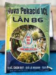 Bộ Tạo Mầm Sầu Riêng Nghịch Vụ 2025, Siêu Lân Đỏ 1L, Gói 10-60-10 1kg & Gói Lân 86 1kg Nova