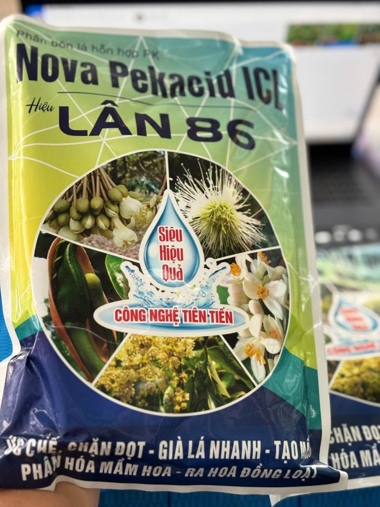 Tạo mầm sầu riêng mùa thuận lần 1, lần 2, lần 3: kích thích mầm ra đồng đều, mầm khỏe, ra hoa theo ý muốn