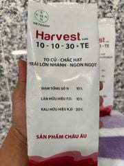 [Phân bón lá, bón gốc] Harvest 10-10-30+TE  500gram to củ, chắc hạt, trái lớn nhanh, ngon ngọt