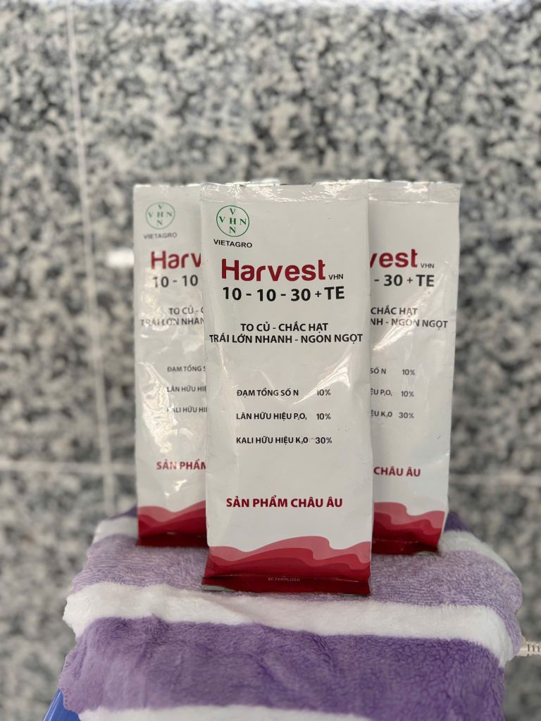 [Phân bón lá, bón gốc] Harvest 10-10-30+TE  500gram to củ, chắc hạt, trái lớn nhanh, ngon ngọt