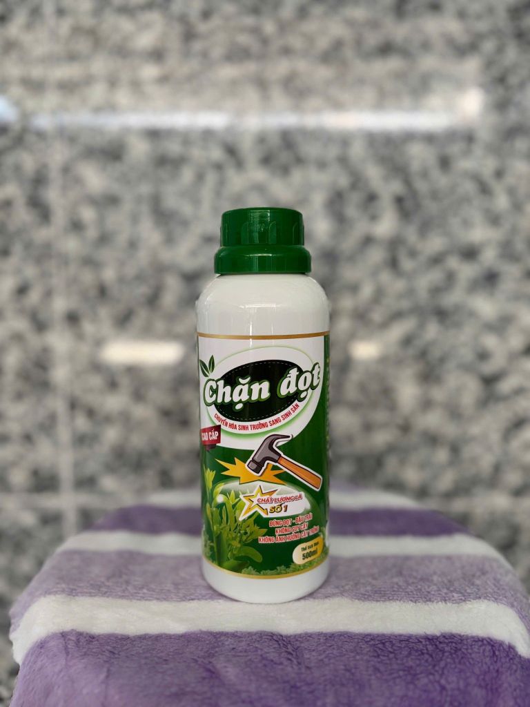 (Chặn đọt sầu riêng) CHẶN ĐỌT 500ml chuyển hóa sinh trưởng sang sinh sản, đứng đọt, đậu trái, không suy cây, không ảnh hưởng cây trồng