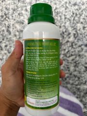 (Chặn đọt sầu riêng) CHẶN ĐỌT 500ml chuyển hóa sinh trưởng sang sinh sản, đứng đọt, đậu trái, không suy cây, không ảnh hưởng cây trồng