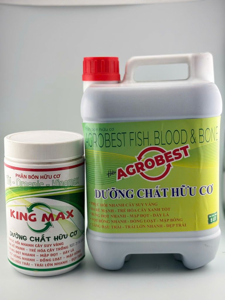 Phục hồi sầu riêng sau thu hoạch, tẩy rong, tưới gốc phục hồi rễ, kích thích rễ, nâng PH đất, cung cấp dinh dưỡng dễ hấp thụ cho cây sầu riêng