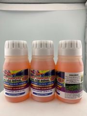 Thuốc phòng trừ rệp sáp hiệu quả và an toàn trên đu đủ - AT ARMY 50SP trừ rệp sáp, rầy mềm, bọ trĩ gây hại đu đủ, không nóng, phun được cả cây con