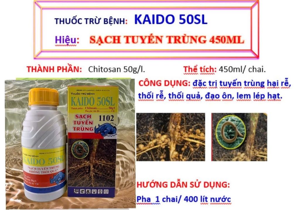 Phục hồi sầu riêng sau thu hoạch, tẩy rong, tưới gốc phục hồi rễ, kích thích rễ, nâng PH đất, cung cấp dinh dưỡng dễ hấp thụ cho cây sầu riêng