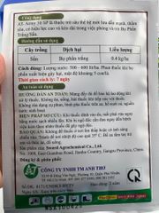 Quản lý rầy phấn trắng và rệp sáp trên hoa cúc - Gói AT ARMY 50 SP chứa Nitenpyram 50%