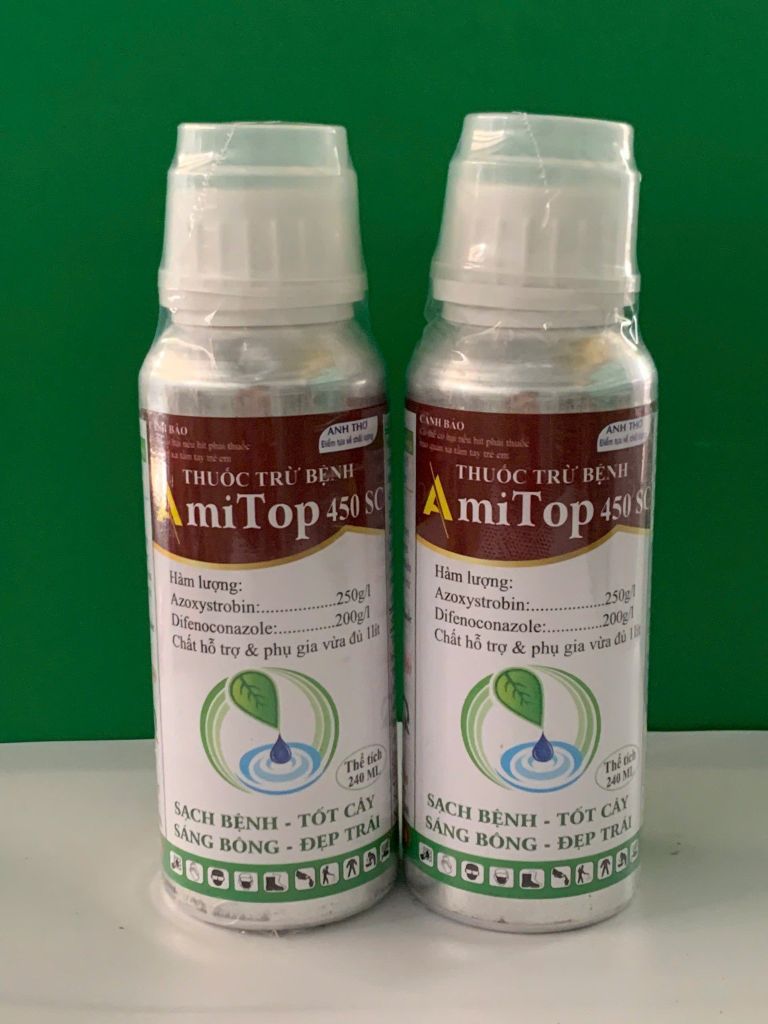 Thuốc trừ bệnh đốm lá, sương mai, thán thư, thối trái trên Vải - Chai Amitop 450SC (nhập khẩu Ấn độ) trừ bệnh nhưng không nóng cây