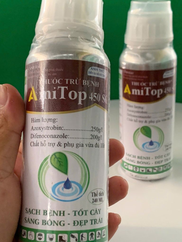 Thuốc trừ bệnh đốm lá, sương mai, thán thư, thối trái trên Vải - Chai Amitop 450SC (nhập khẩu Ấn độ) trừ bệnh nhưng không nóng cây