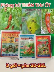 Thuốc trừ bệnh thán thư ớt, thối úng trái ớt, thán thư bông, thối úng bông ớt