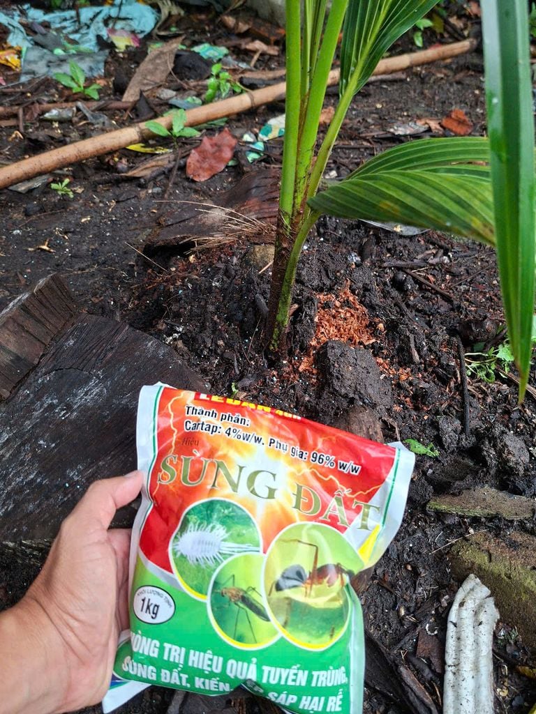 Gói Rải Ledan 4GR hiệu Sùng Đất 1kg, Diệt kiến, rải chết kiến nhiều, kiến chết nhanh, sùng đất, rải đuông dừa, rải trừ bọ cánh cứng hại dừa, tuyến trùng, muỗi hành, sâu đục thân