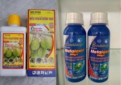 Combo thuốc phòng trừ thối trái sầu riêng, không nóng trái, thuốc không bám trái