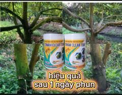(Tẩy rong rêu chỉ sau 1 lần phun) Tẩy rong rêu trên cây trồng, tẩy rong rêu sàn, tường  - hiệu Tonam Clear 70WP 500g