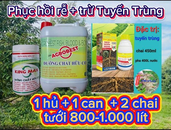 Phục hồi sầu riêng sau thu hoạch, tẩy rong, tưới gốc phục hồi rễ, kích thích rễ, nâng PH đất, cung cấp dinh dưỡng dễ hấp thụ cho cây sầu riêng