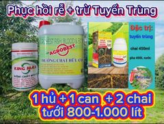 Phục hồi sầu riêng sau thu hoạch, tẩy rong, tưới gốc phục hồi rễ, kích thích rễ, nâng PH đất, cung cấp dinh dưỡng dễ hấp thụ cho cây sầu riêng
