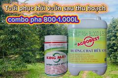 Phục hồi sầu riêng sau thu hoạch, tẩy rong, tưới gốc phục hồi rễ, kích thích rễ, nâng PH đất, cung cấp dinh dưỡng dễ hấp thụ cho cây sầu riêng