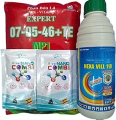 Bộ già lá nhanh Hexavill 1l + 07-05-46+TE 1kg + gói 7-5-46 1kg + 2 gói combi ức chế đọt non không gây cháy lá sầu riêng