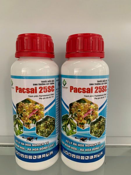 Paclobutrazol, Điều hòa sinh trưởng PACSAI 25SC 500ml xử lý ra hoa nghich vụ, tạo mầm hoa, ra hoa đồng loạt