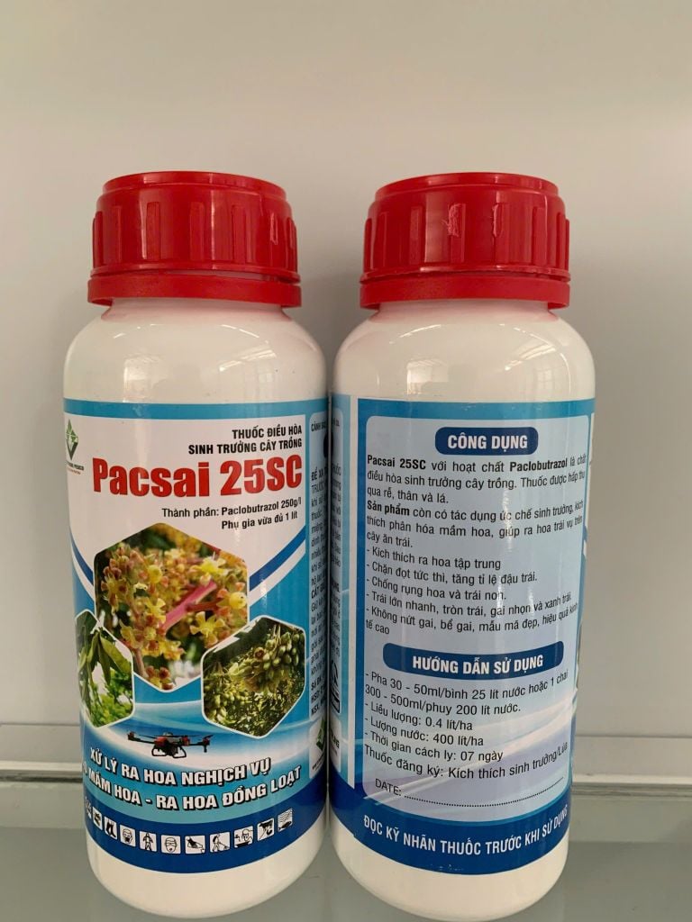 Paclobutrazol, Điều hòa sinh trưởng PACSAI 25SC 500ml xử lý ra hoa nghich vụ, tạo mầm hoa, ra hoa đồng loạt