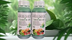 (Lớn trái mít) Bộ đôi lớn trái mít, trái to tròn đều, hạn chế méo trái, nở gai hết cỡ, múi mít to, nặng ký, chống nứt trái