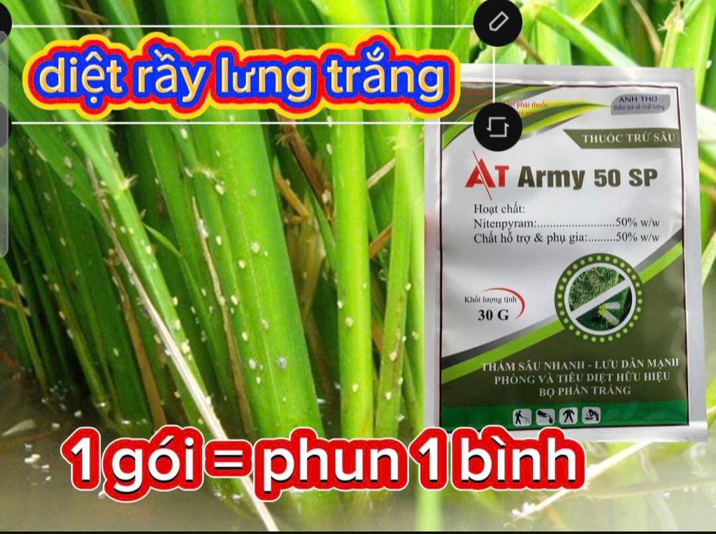 TH SÂu 512 (400ml) Phòng trừ, diệt sâu đục thân lúa, bọ trĩ, bọ xít hôi/ bọ hút chích bông lúa, rầy phấn trắng, muỗi hành hại lúa
